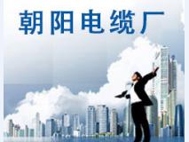 行業(yè)標(biāo)準(zhǔn)質(zhì)量保證