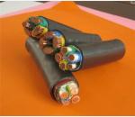 通用橡套軟電纜